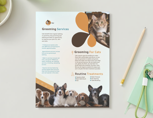 Pet Grooming Flyer Editable Template - Image 9